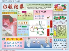 白小姐内幕A