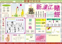 新濠江赌经A